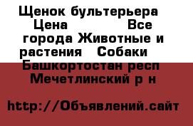 Щенок бультерьера › Цена ­ 35 000 - Все города Животные и растения » Собаки   . Башкортостан респ.,Мечетлинский р-н